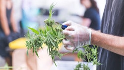 Supporting Story 2 Getty Images Resized