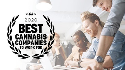 Best Cannabis Companies To Work For