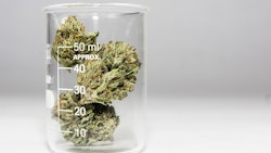 Cannabis In Test Tube Adobe Stock Credit Mitch Resized