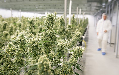 Canopy Growth Smiths Falls Canada Day Cannabis