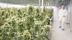Canopy Growth Bruce Linton Smiths Falls Canada Day