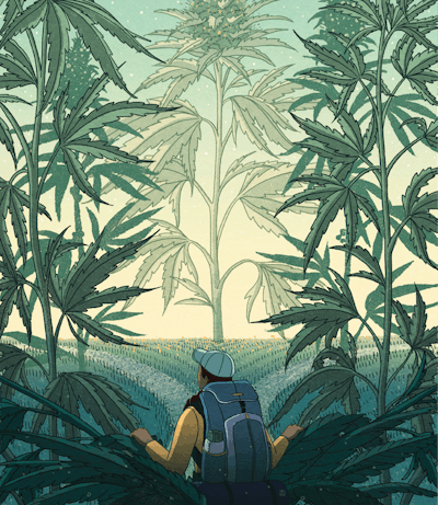 Cc Rt Ov Ipo final Cmyk Fmt