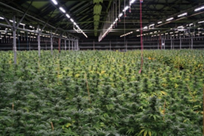 Fluence Feature Image Fmt