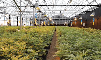 Grow Span Custom Greenhouse Fmt