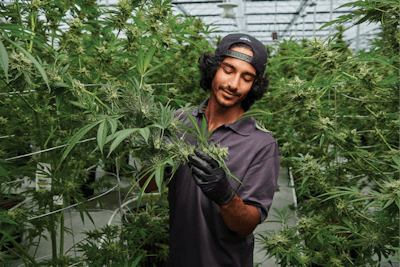 Jun052019 Tantalus Labs 0175 Fmt