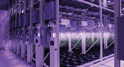 Montel Feature Image Fmt