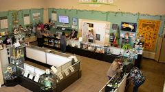 Natures Gfit Shop 3 Resized