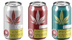 Adobe Stock 237225708e Fmt