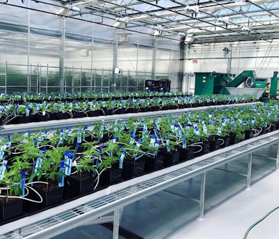 Attack Of The Clones Resized