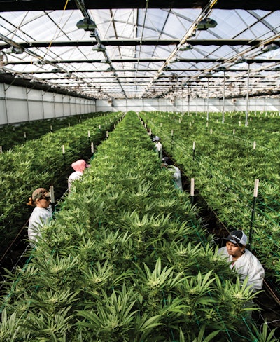 Cannabis Business Times 58 Fmt