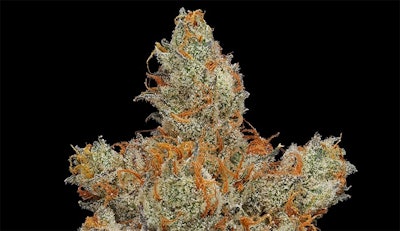 Diamond Dust Cannabis