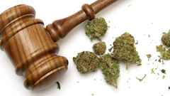 Gavel And Marijuana Adobe Stock Credit Matthew Benoit Resized