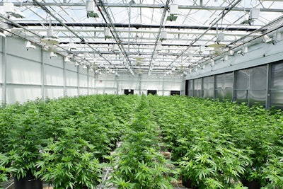 Grow Room Center Resized