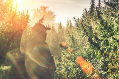 Hemp Mergers Acquisitions