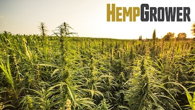 Hemp