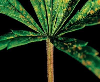 I Stock 1078159020 Fmt