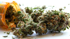 Medical Marijuana In Rx Bottle Adobe Stock Credit Atomazul Resized