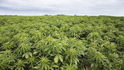 Outdoor2 Bastiaanimage Stock