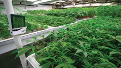 5 Temperature Control Tips