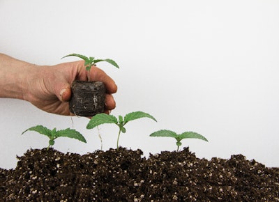 Adobe Stock 143486495 Fmt