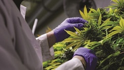 Cresco Illinois Energy Standards Cannabis