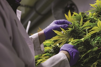 Cresco Illinois Energy Standards Cannabis