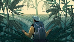 Going Public Cannabis