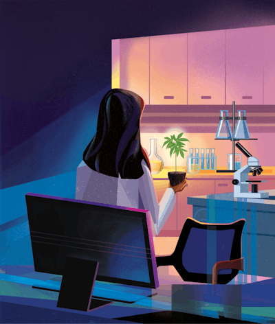 Cannabis Final V3 Fmt