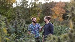 East Fork Cultivars Cannabis Business Times