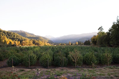 East Fork 158 Fmt
