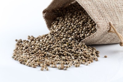 Hemp Seeds In Sack Adobe Stock Credit Romantsubin Resized
