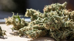 Smokable Hemp Flower Best Stock Foto