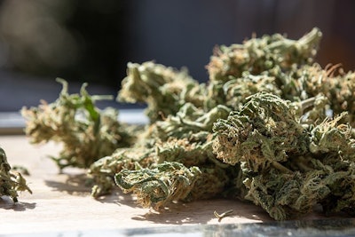 Smokable Hemp Flower Best Stock Foto