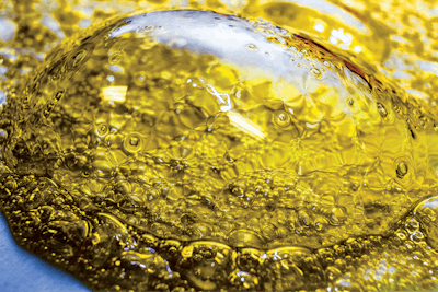 Adobe Stock 159656844 Fmt