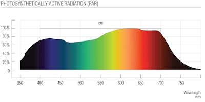 Bugbee Chart Fmt