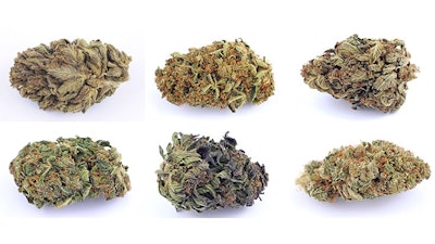 Cannabis Testing Denver Dispensaries Fail