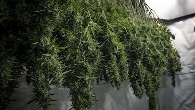 hemp storage odor citation