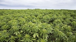 Outdoor2 Bastiaanimage Stock