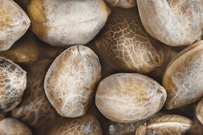 2018 Farm Bill Adobe Stock Judita Jurkenaite