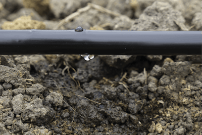 Adobe Stock 180359624 Fmt