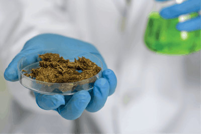 Adobe Stock 260555524 Fmt