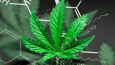 Cvs Walgreens Plan To Carry Cbd Products Adobe Stock Cendeced