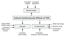 Indirect Cv Effects Chart