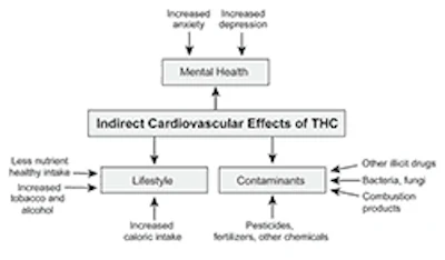 Indirect Cv Effects Chart