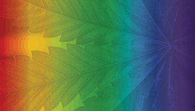 Optimal P H For Cannabis Adobe Stock Martingaal