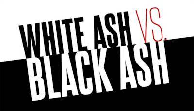 White Ash Vs Black Ash