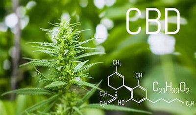 Cannabis Plant Cbd Chemical Formula Adobe Stock Credit Aleksandr Resized