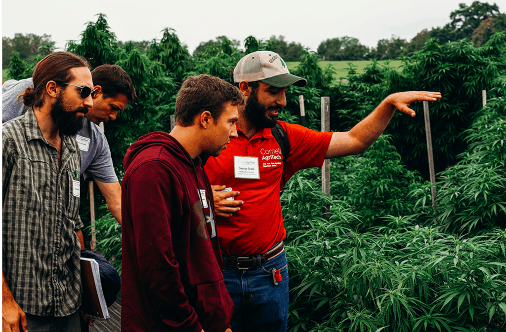 Cornell University Breaks Ground on Hemp Research | Cannabis Business Times