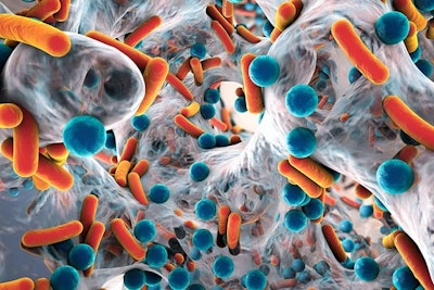 Mrsa Kateryna Kon
