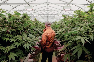 200102 Eaton Hemp 001 Fmt